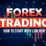 Forex Trading for Beginners How to Start in 2025 with Low Risk